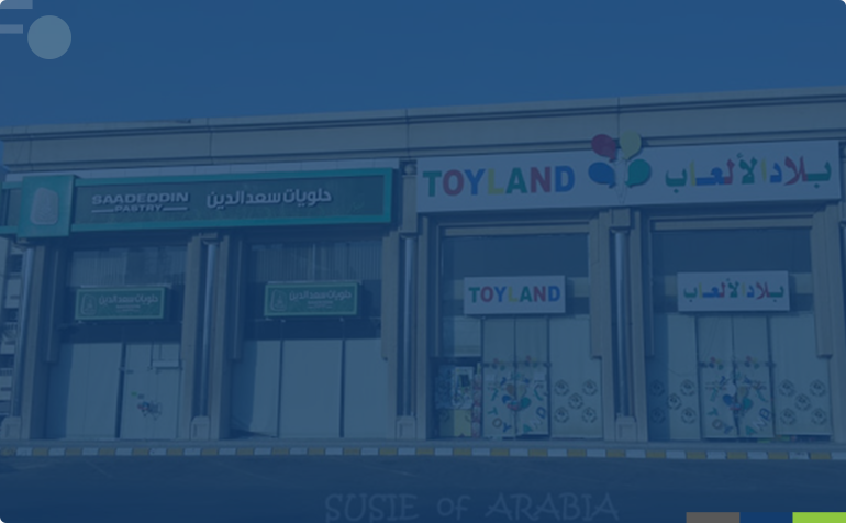 Toy-Lan-C.png